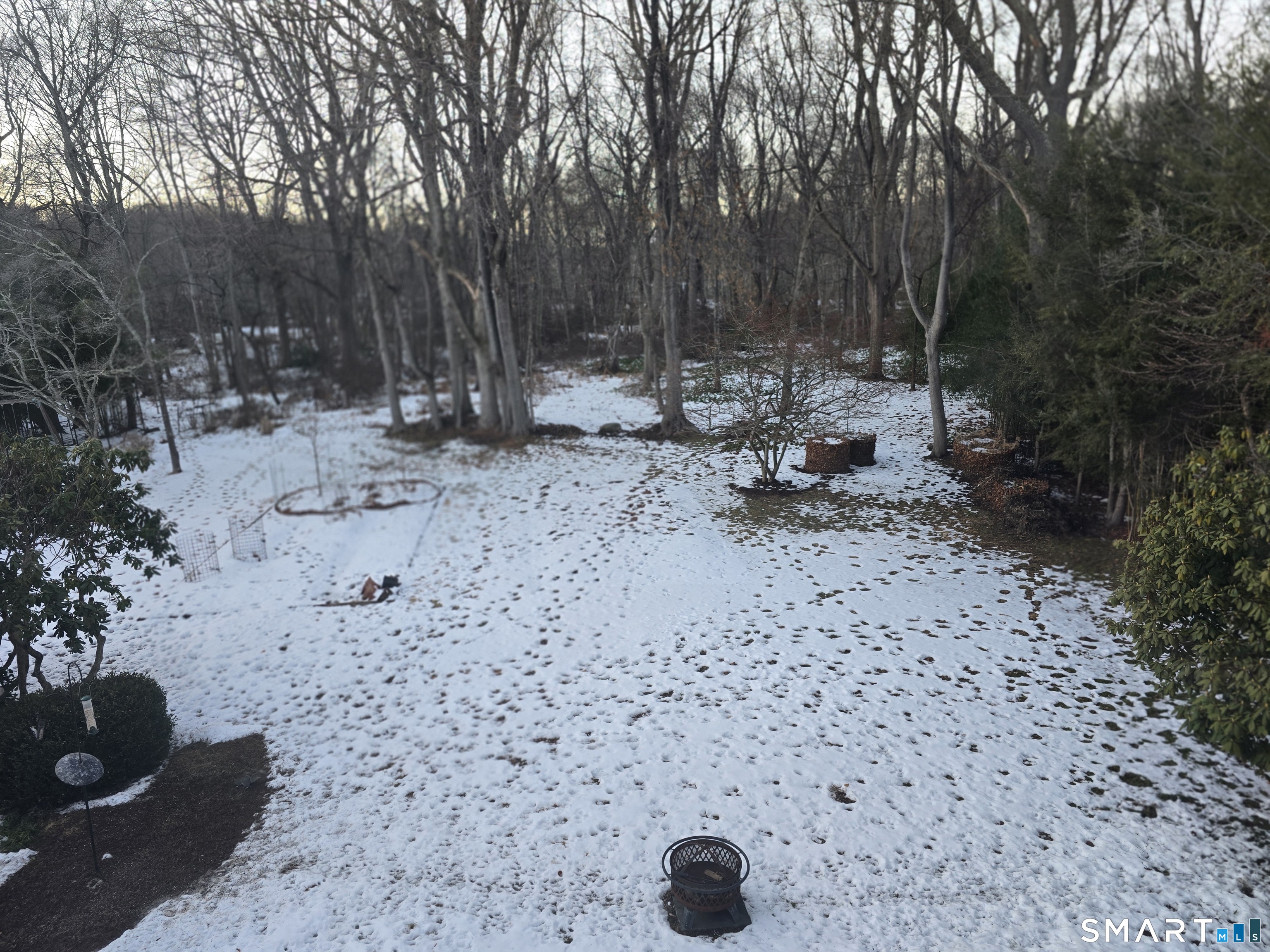 276 Dunnlea Road Fairfield, CT 06824 - Photo 19 of 26 a view of a backyard with plants and trees