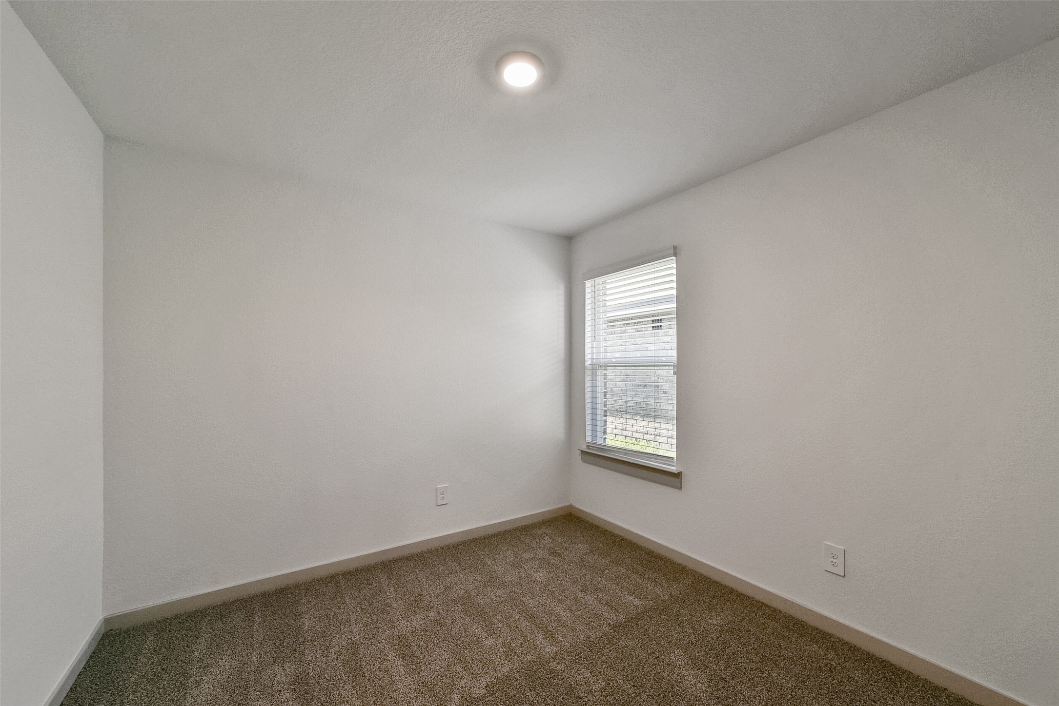 7834 Golden Rubia Lane Rosharon, TX 77583 - Photo 19 of 28 Bedroom 2