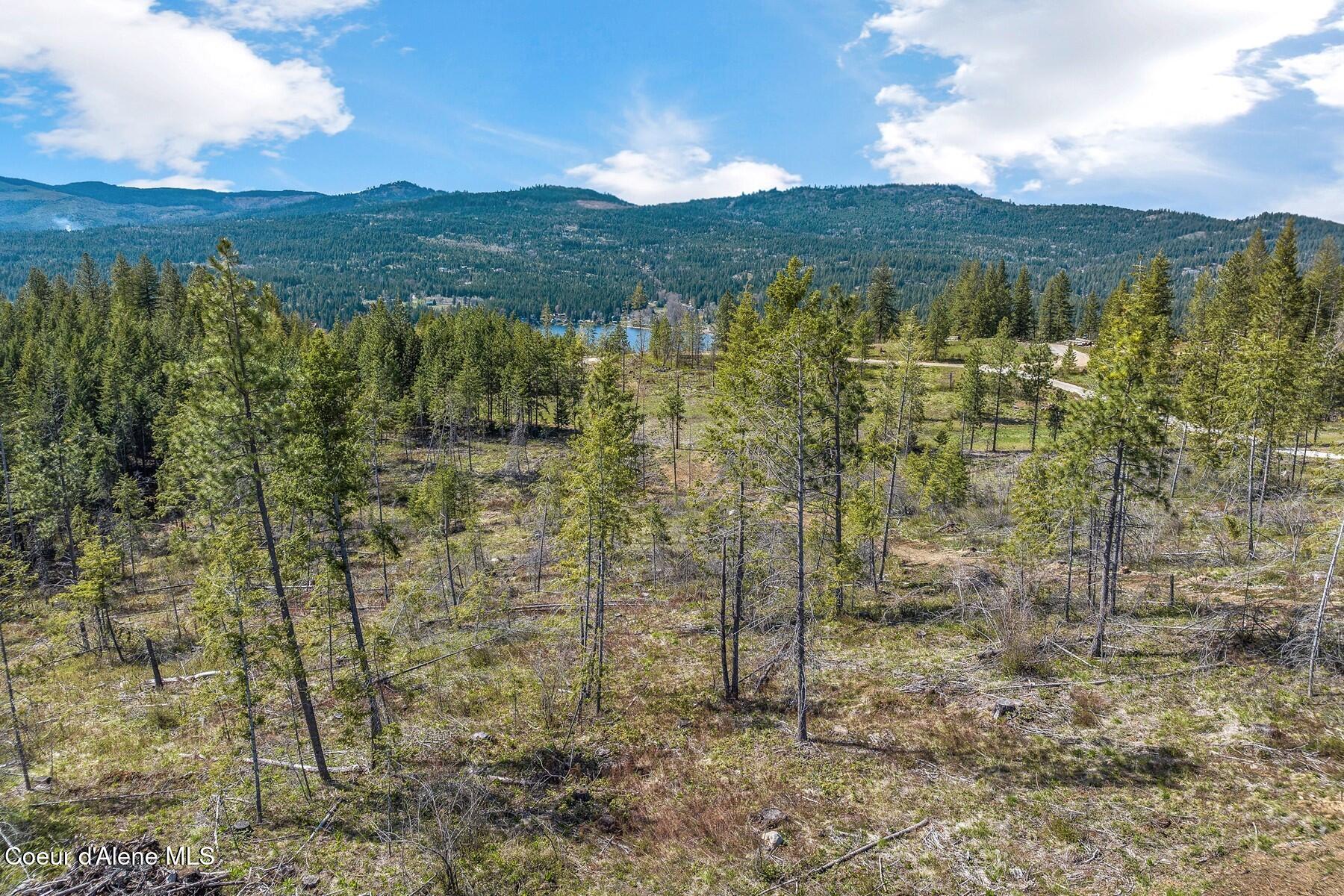 Lot 4 Kelley Creek Road Cocolalla, ID 83813 - Photo 14 of 18 14