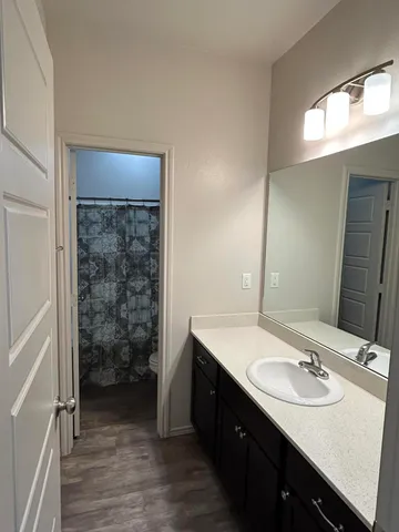 a bathroom with a sink a mirror and a shower