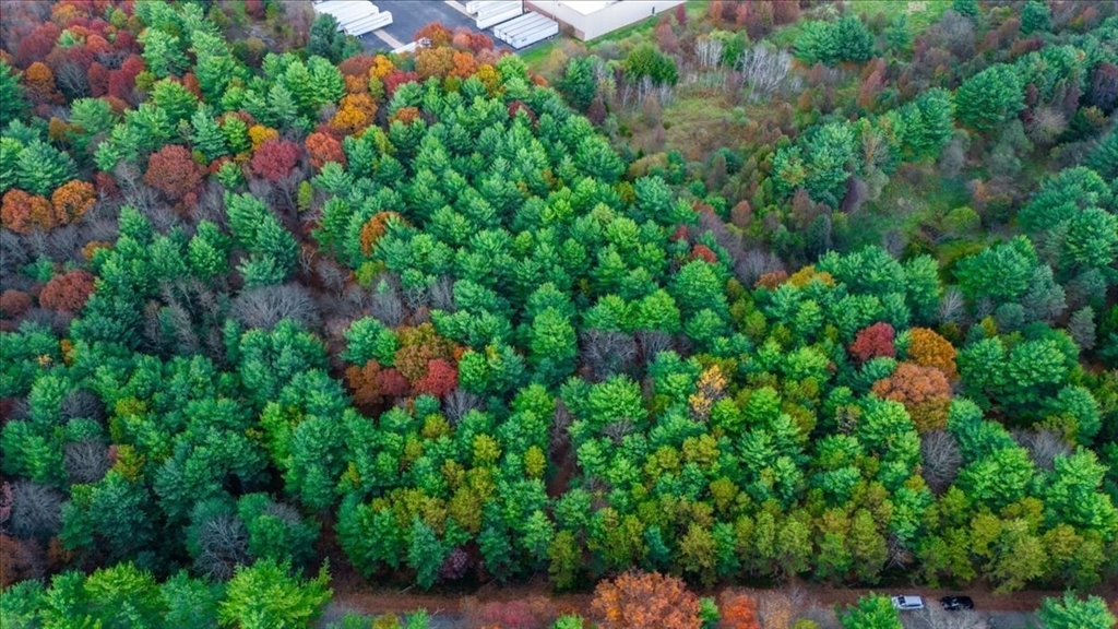 an aerial view of a house with lots of trees