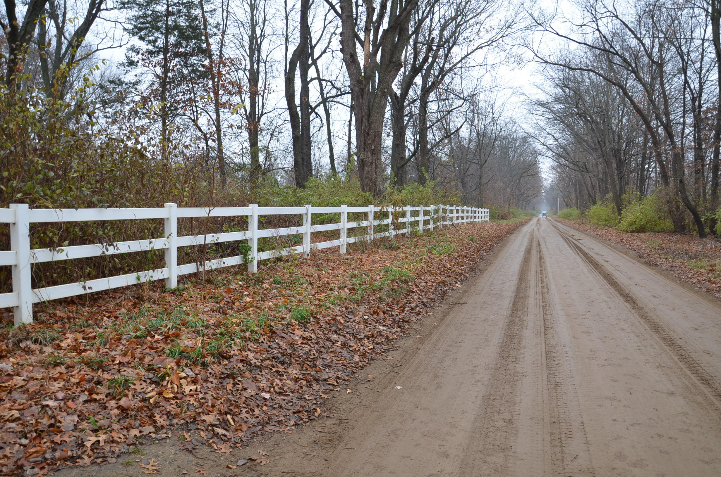 3366 Ludlow Road Albion, MI 49224 - Photo 31 of 52 DSC_5467