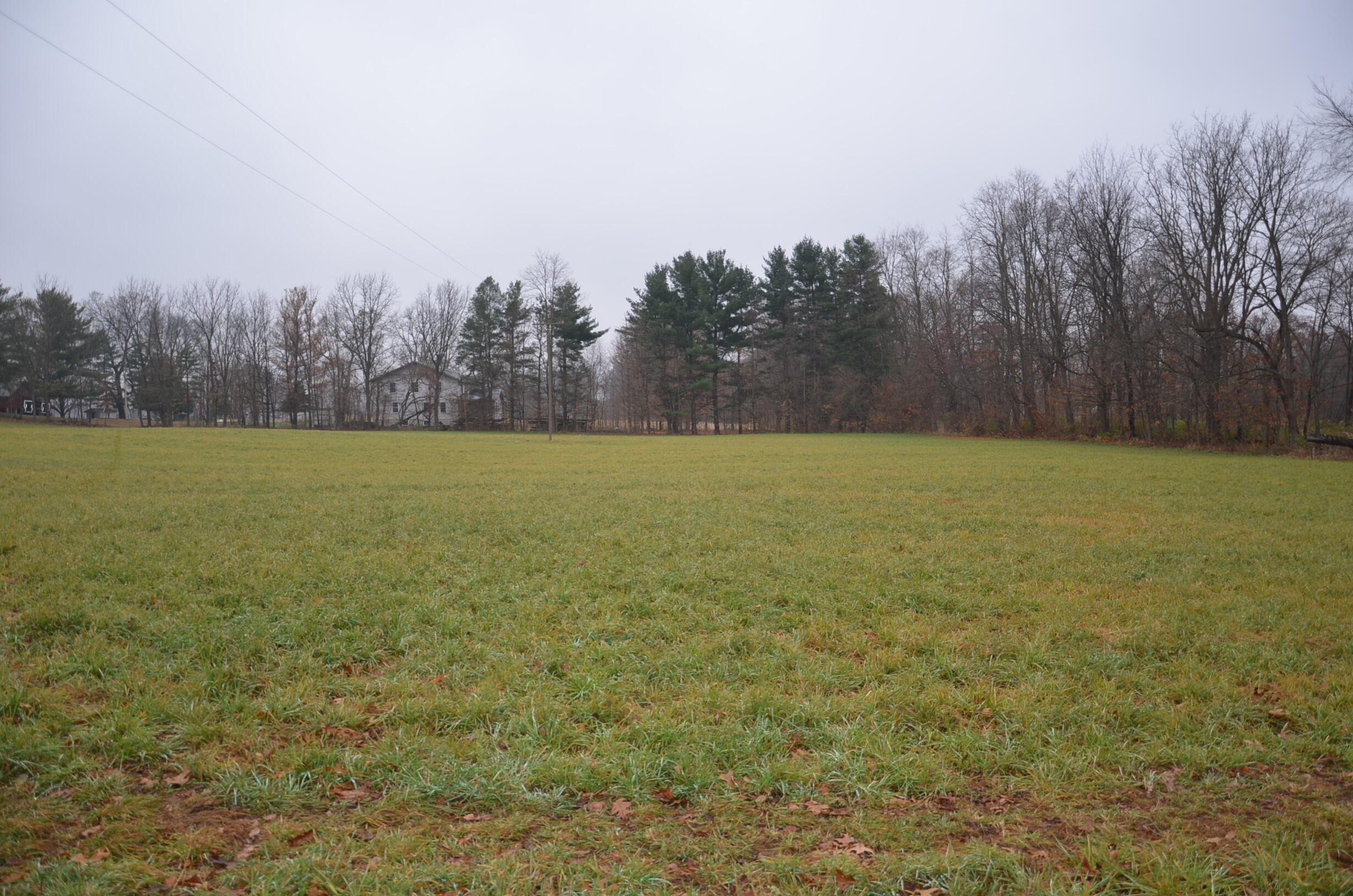 3366 Ludlow Road Albion, MI 49224 - Photo 31 of 50 DSC_5471