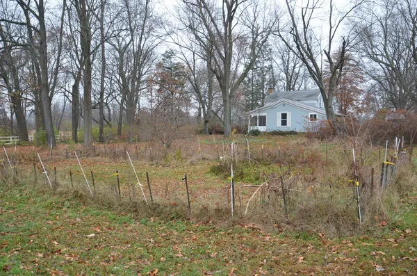 $415,000 | 3366 Ludlow Road, Albion, MI 49224
