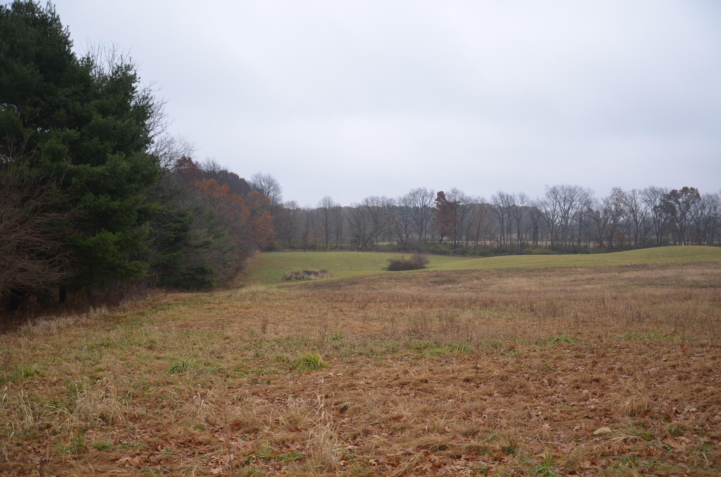 3366 Ludlow Road Albion, MI 49224 - Photo 36 of 52 DSC_5477