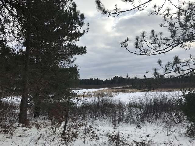 160-ac Scotchman Lake Road Minocqua, WI 54548 - Photo 20 of 30 Gallery Image 20