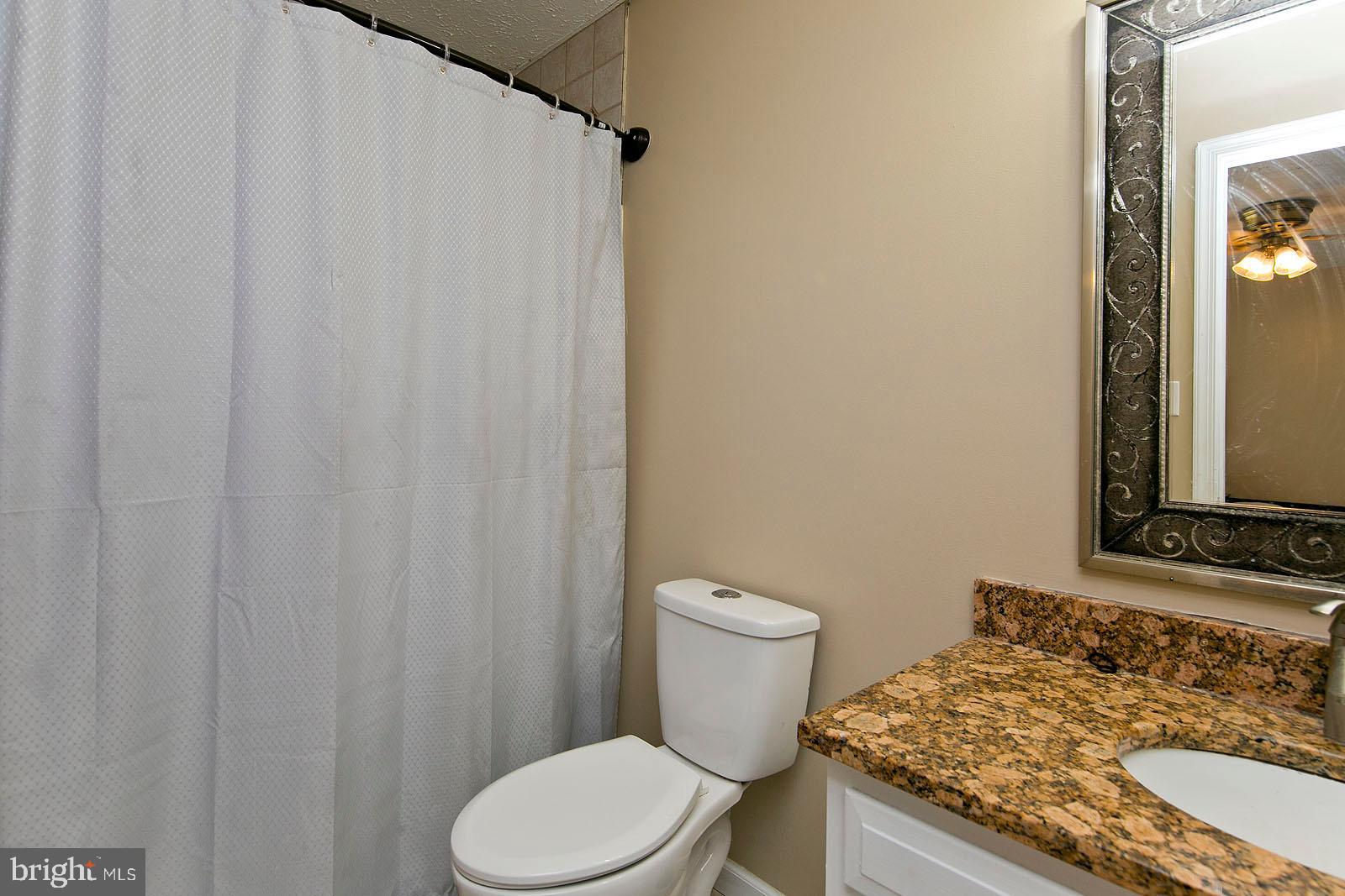 580 Ridgeview Road Capon Bridge, VA 26711 - Photo 33 of 44 Master bath