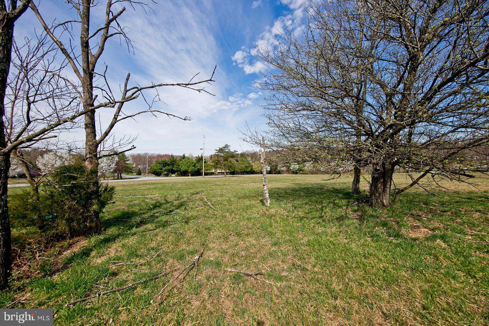 580 Ridgeview Road Capon Bridge, VA 26711 - Photo 7 of 44 Over 2 acres!