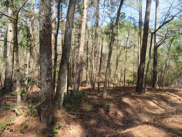 a view of outdoor space with trees