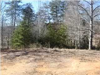 10514 Brainerd Road Chattanooga, TN 37421 - Photo 15 of 15 Additional Photo