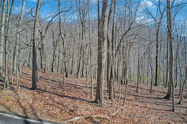 a view of a backyard