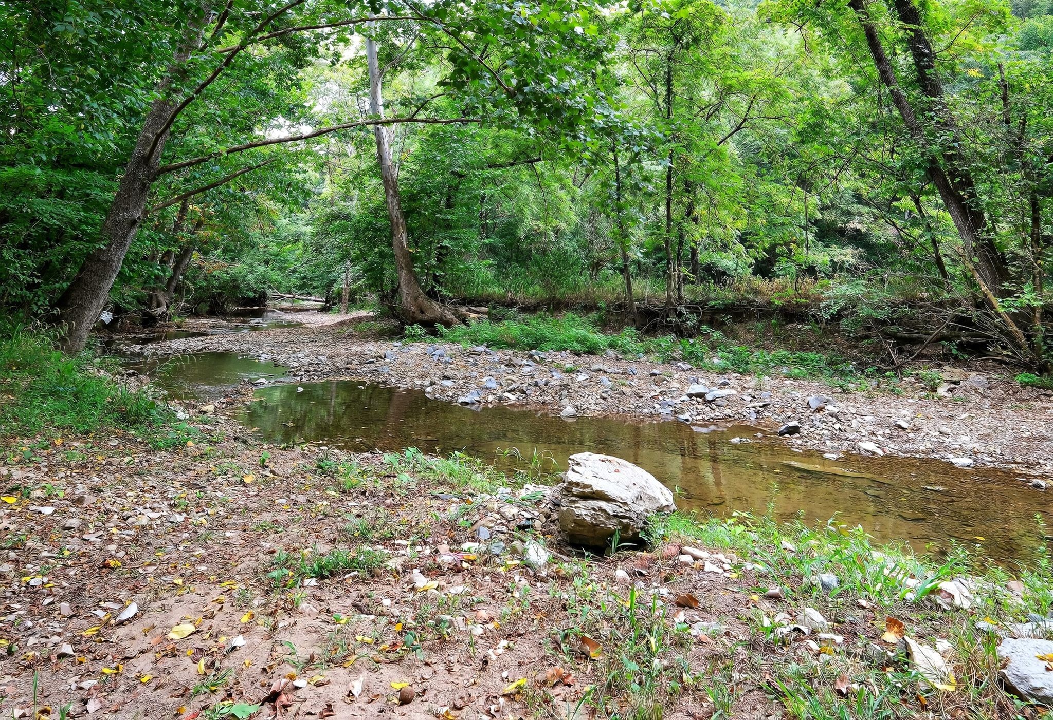 3119 Tyree Springs Road Hendersonville, TN 37075 - Photo 39 of 61 a view of a fire pit with large trees