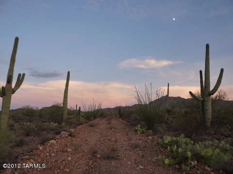 9575 West Rudasill Road Tucson, AZ 85743 - Photo 13 of 14 Gallery Image 13