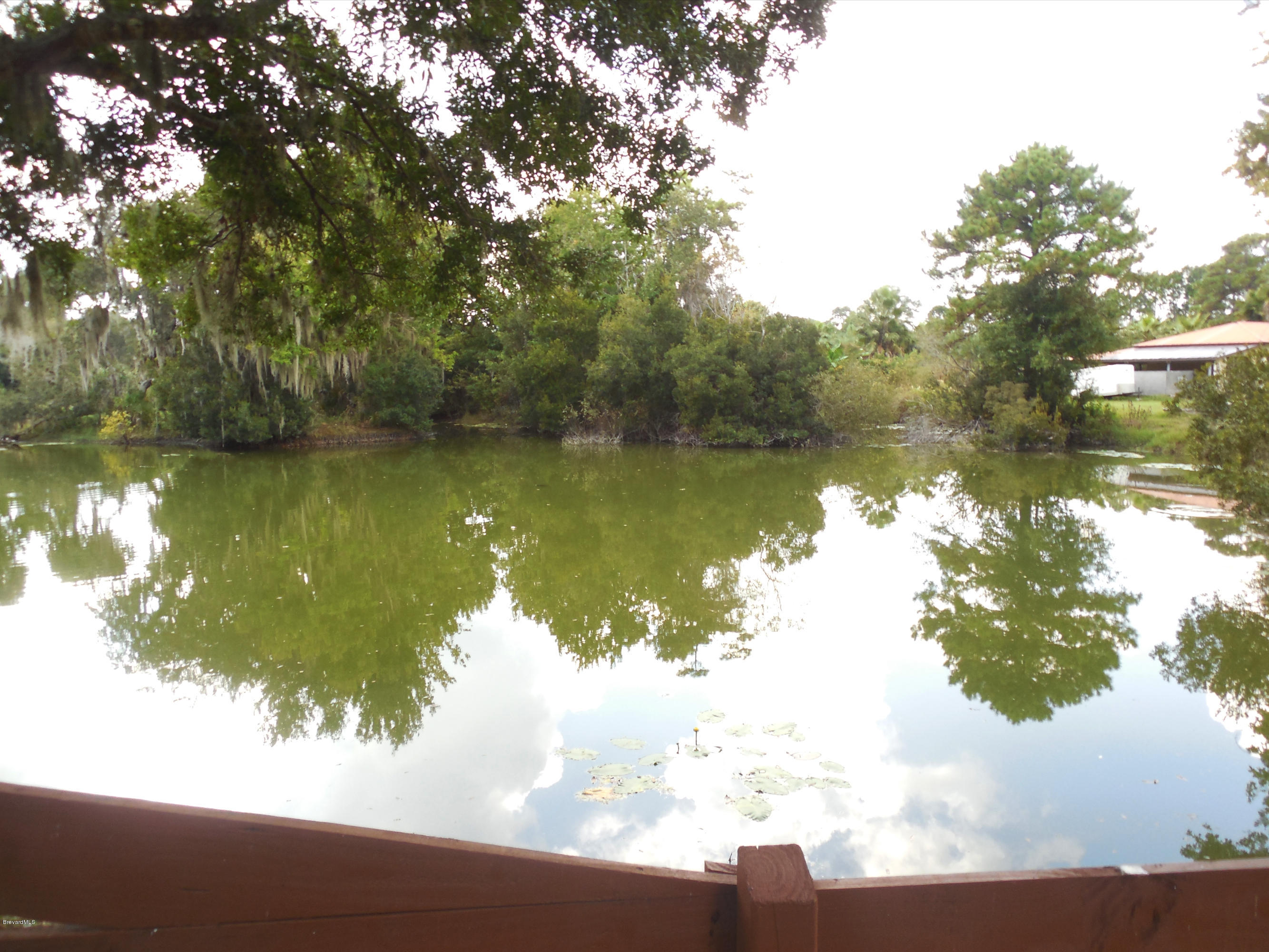 3445 Lionel Road Mims, FL 32754 - Photo 27 of 29 DSCN0051