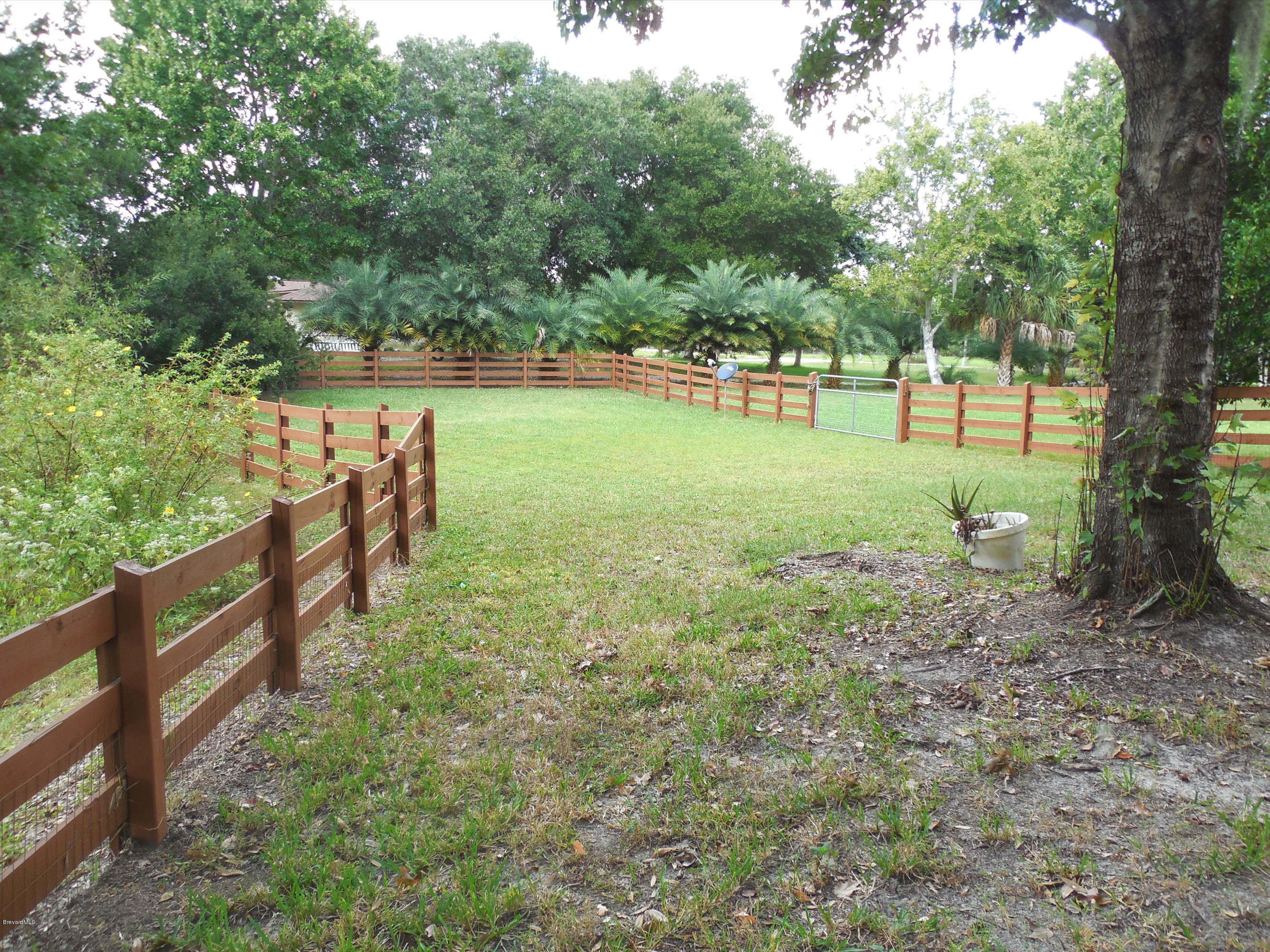 3445 Lionel Road Mims, FL 32754 - Photo 28 of 29 DSCN0052