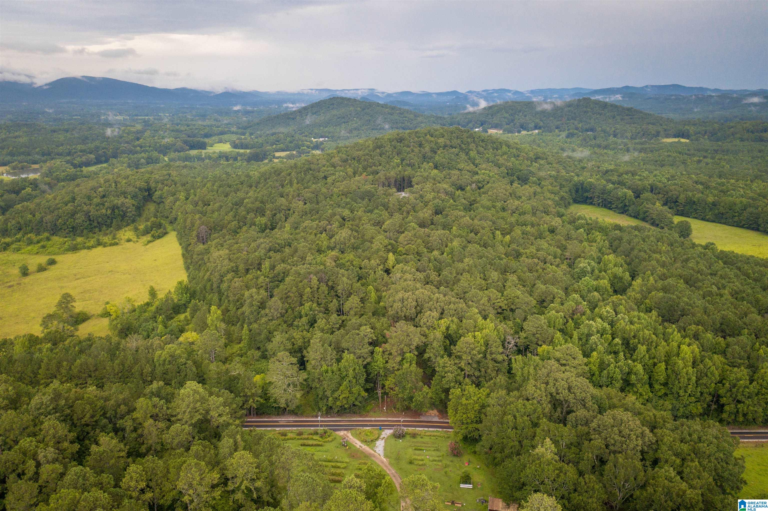 0 Iron City Cutoff Road, Unit 4 Anniston, AL 36207 - Photo 18 of 19