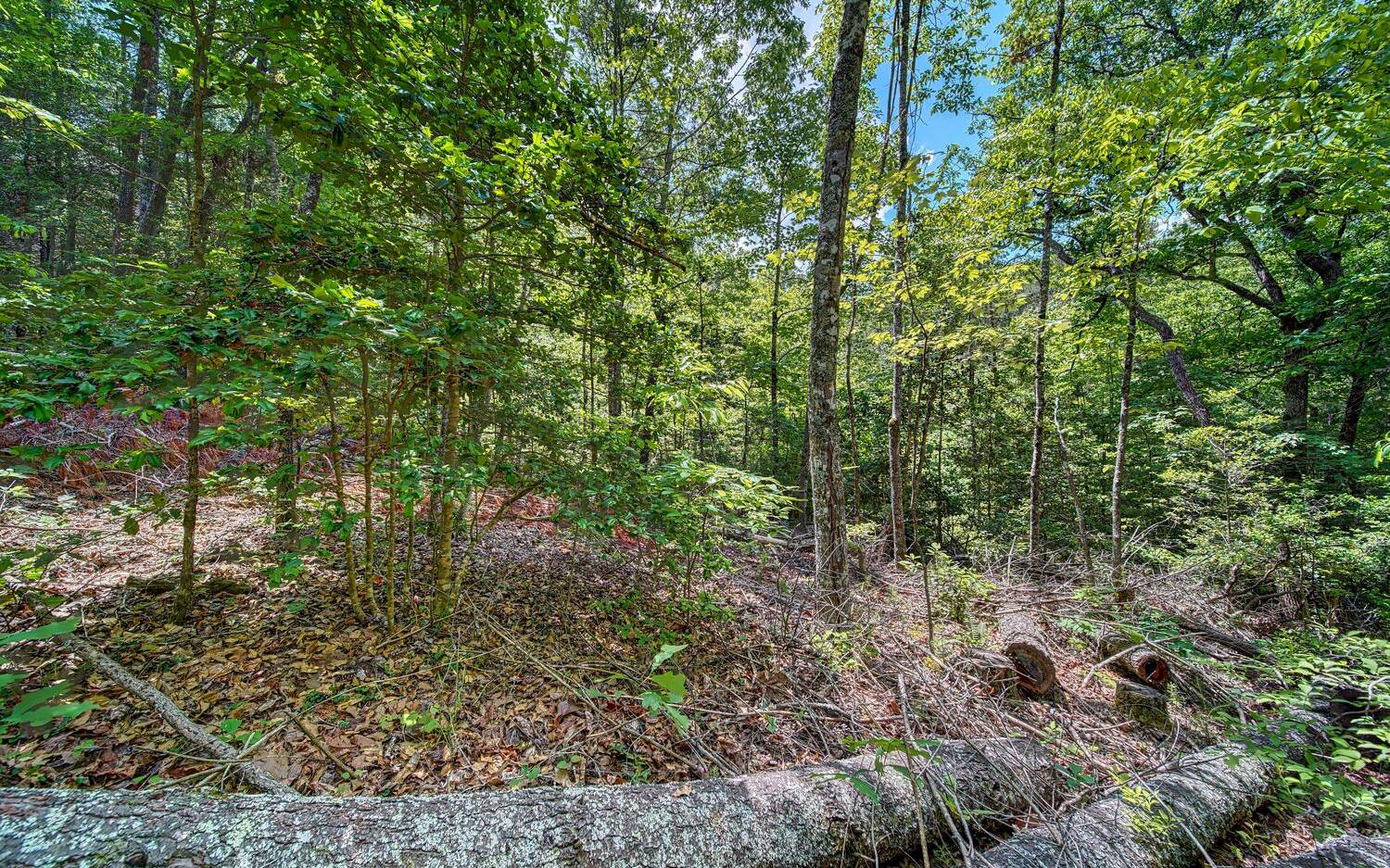 6-ac Katydid Road Morganton, GA 30560 - Photo 18 of 21 Additional View