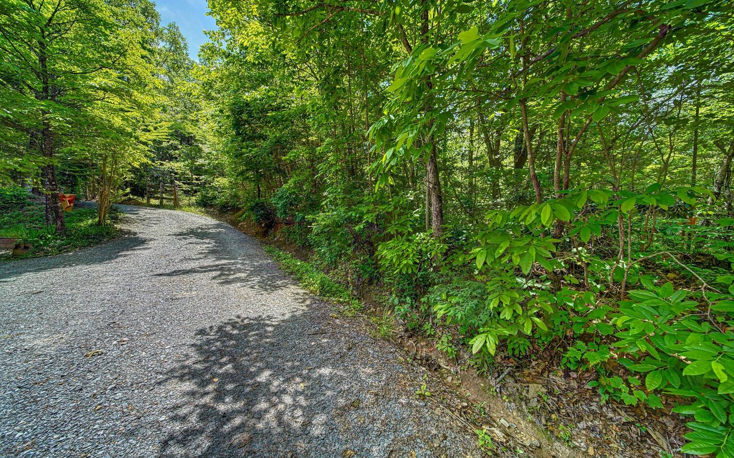 6-ac Katydid Road Morganton, GA 30560 - Photo 20 of 21 Additional View
