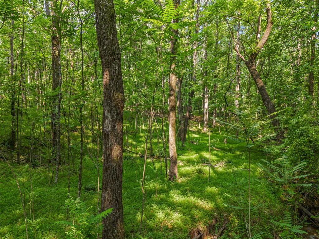0 Brock Trail Milton, GA 30004 - Photo 12 of 30 a view of a forest