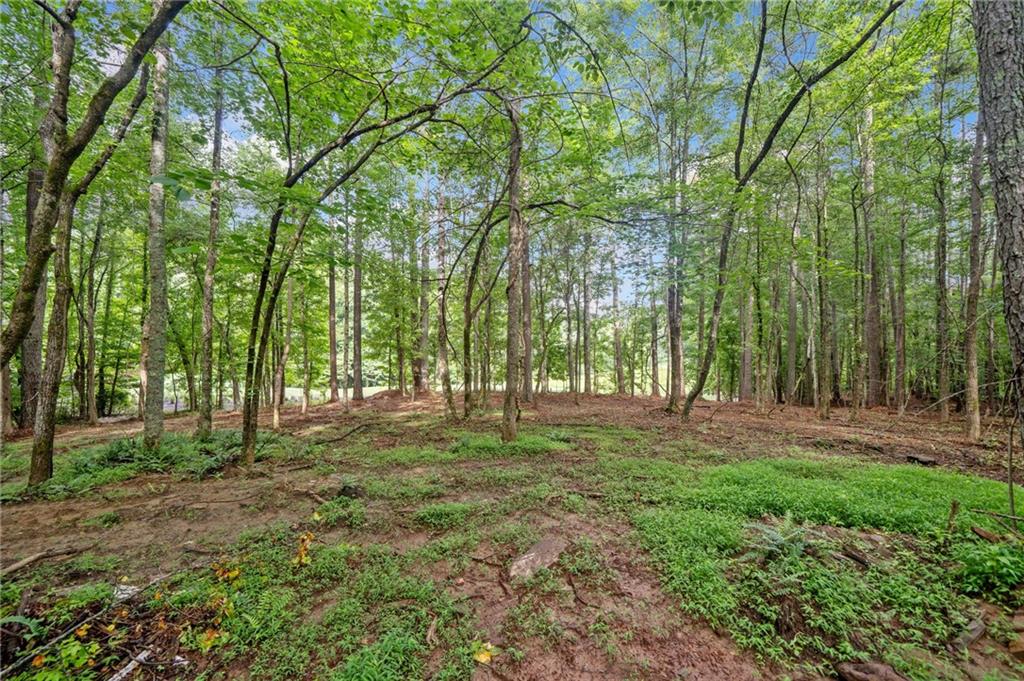 0 Brock Trail Milton, GA 30004 - Photo 18 of 30 a view of outdoor space with trees