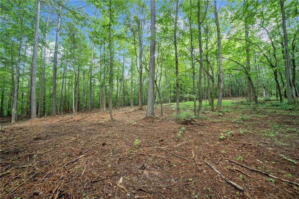 0 Brock Trail Milton, GA 30004 - Photo 20 of 30 a view of outdoor space with trees