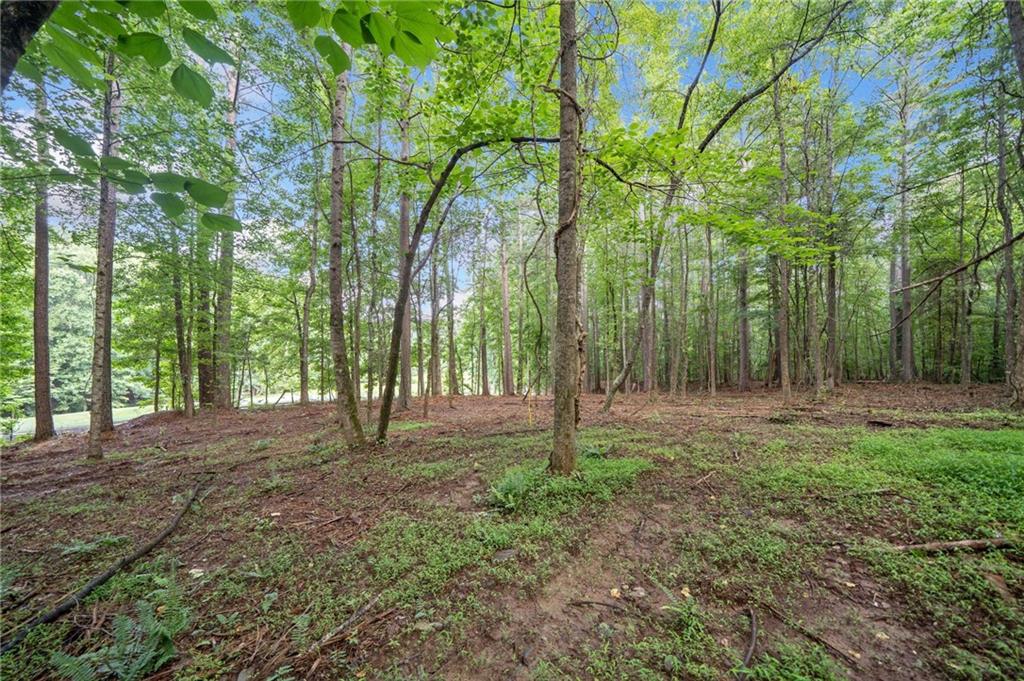 0 Brock Trail Milton, GA 30004 - Photo 21 of 30 a view of outdoor space with trees