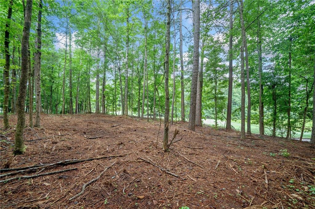 0 Brock Trail Milton, GA 30004 - Photo 23 of 30 a view of outdoor space and yard