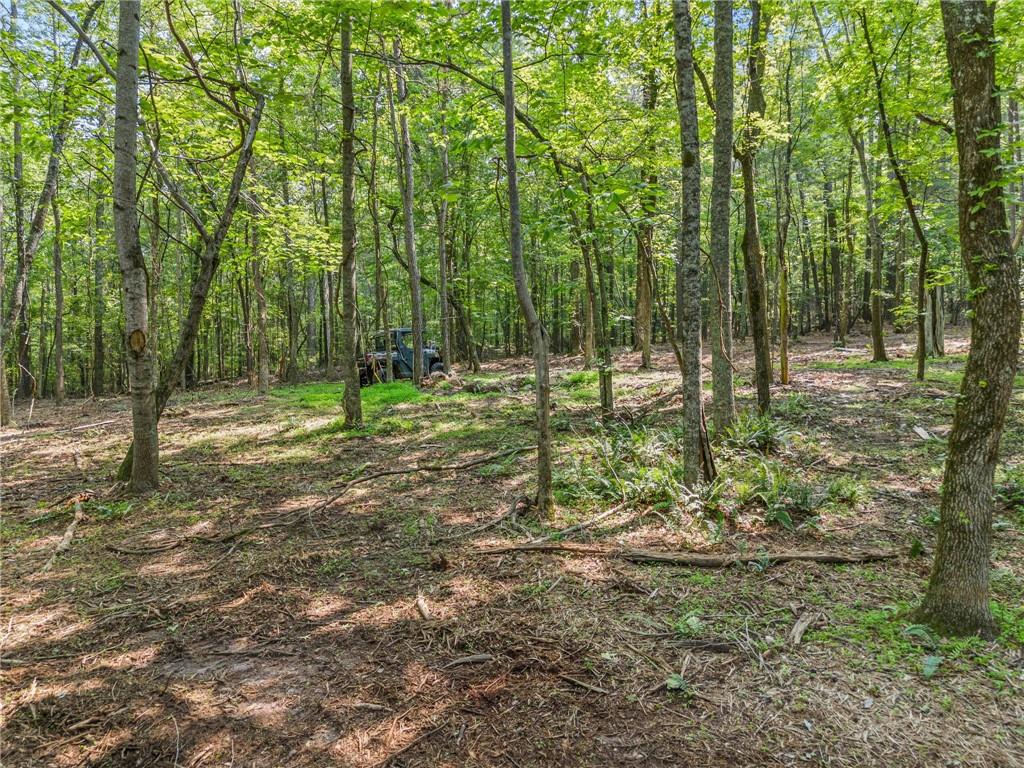 0 Brock Trail Milton, GA 30004 - Photo 5 of 30 a view of outdoor space with trees