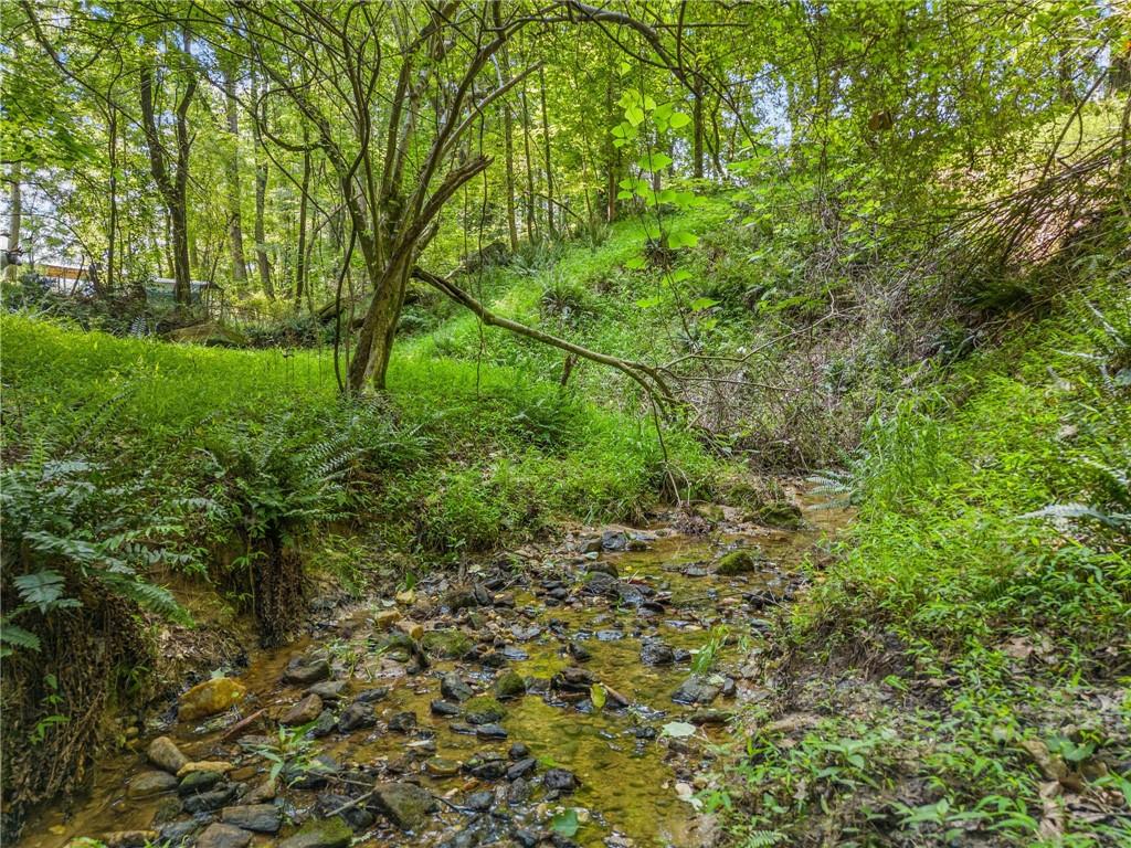 0 Brock Trail Milton, GA 30004 - Photo 10 of 30 a view of yard with green space