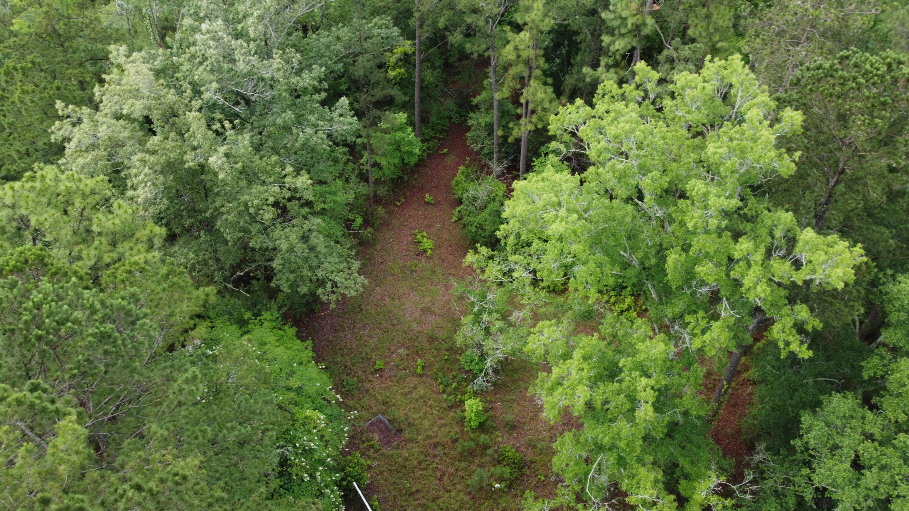 126 Batten Way Ridgeville, SC 29472 - Photo 18 of 25 DJI_0520