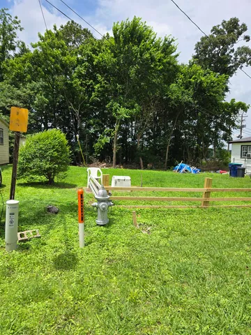 a view of a park with large trees