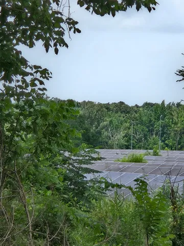 a view of outdoor space and yard