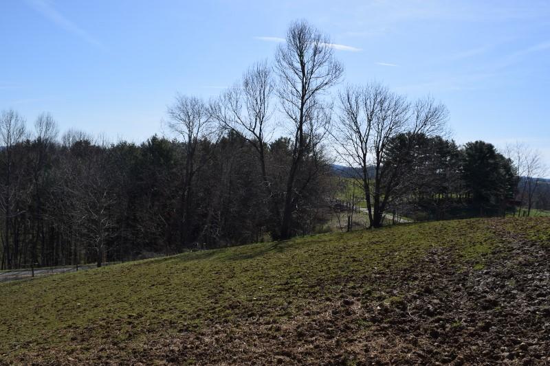 827 Horse Ridge Road Northwest Willis, VA 24380 - Photo 14 of 50 DSC_0516 (800x533) - Copy