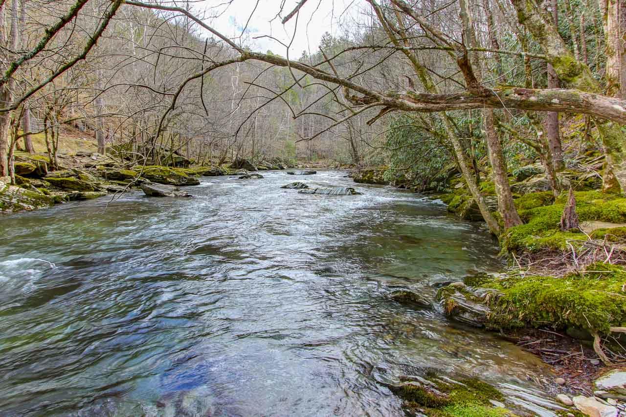 L17 Riversong Way Sevierville, TN 37876 - Photo 1 of 12 01
