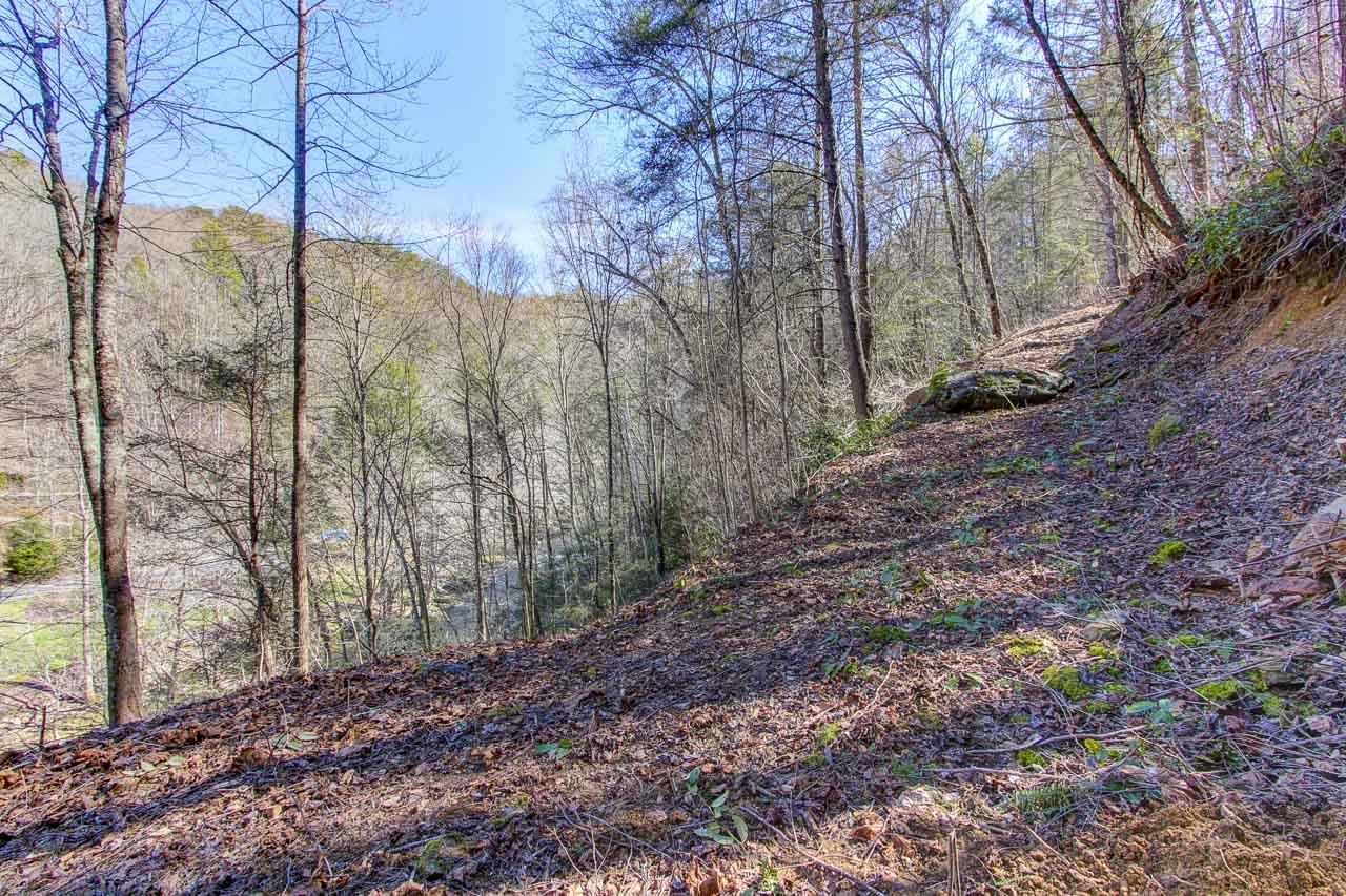 L17 Riversong Way Sevierville, TN 37876 - Photo 10 of 12 10