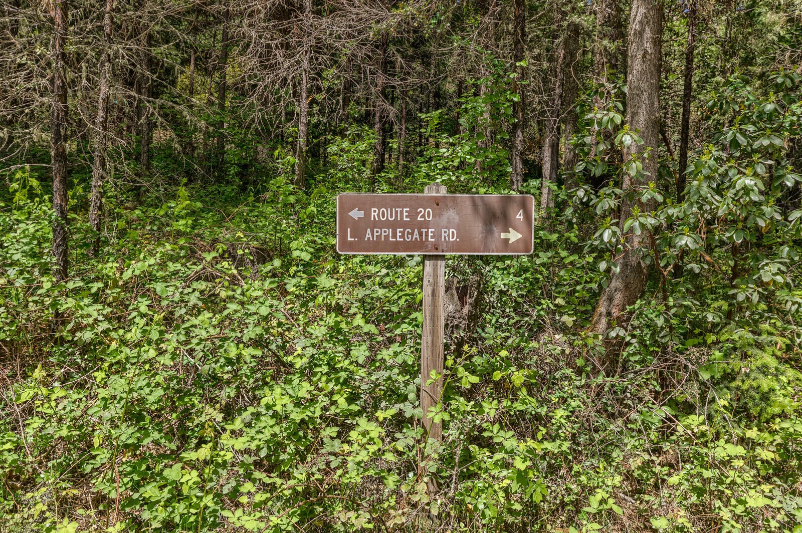 1500 Waters Gulch Road Jacksonville, OR 97530 - Photo 63 of 64 21_WG_21_mls
