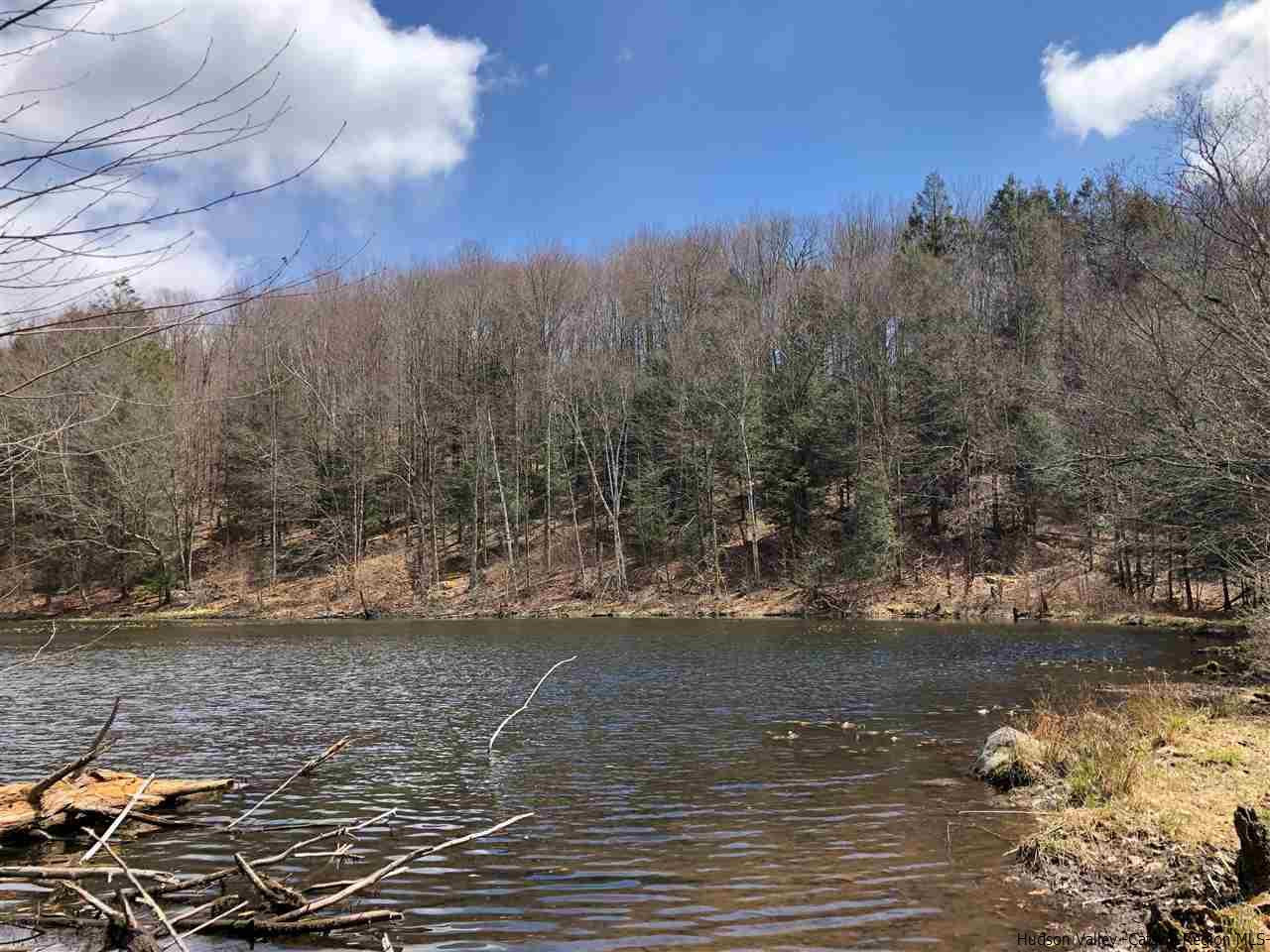 179 Scheibe Road Liberty, NY 12754 - Photo 15 of 25 Photo 15