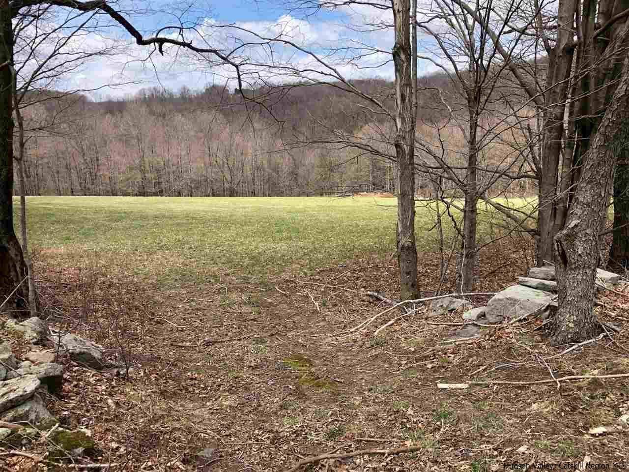 179 Scheibe Road Liberty, NY 12754 - Photo 16 of 25 Photo 16