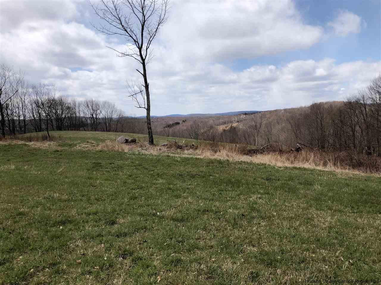 179 Scheibe Road Liberty, NY 12754 - Photo 17 of 25 Photo 17