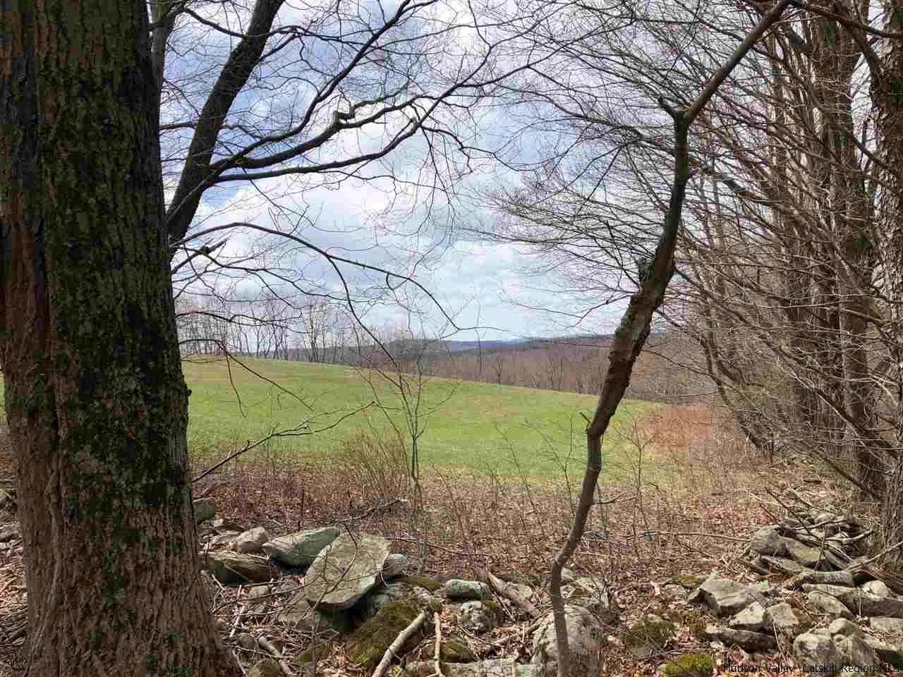 179 Scheibe Road Liberty, NY 12754 - Photo 18 of 25 Photo 18