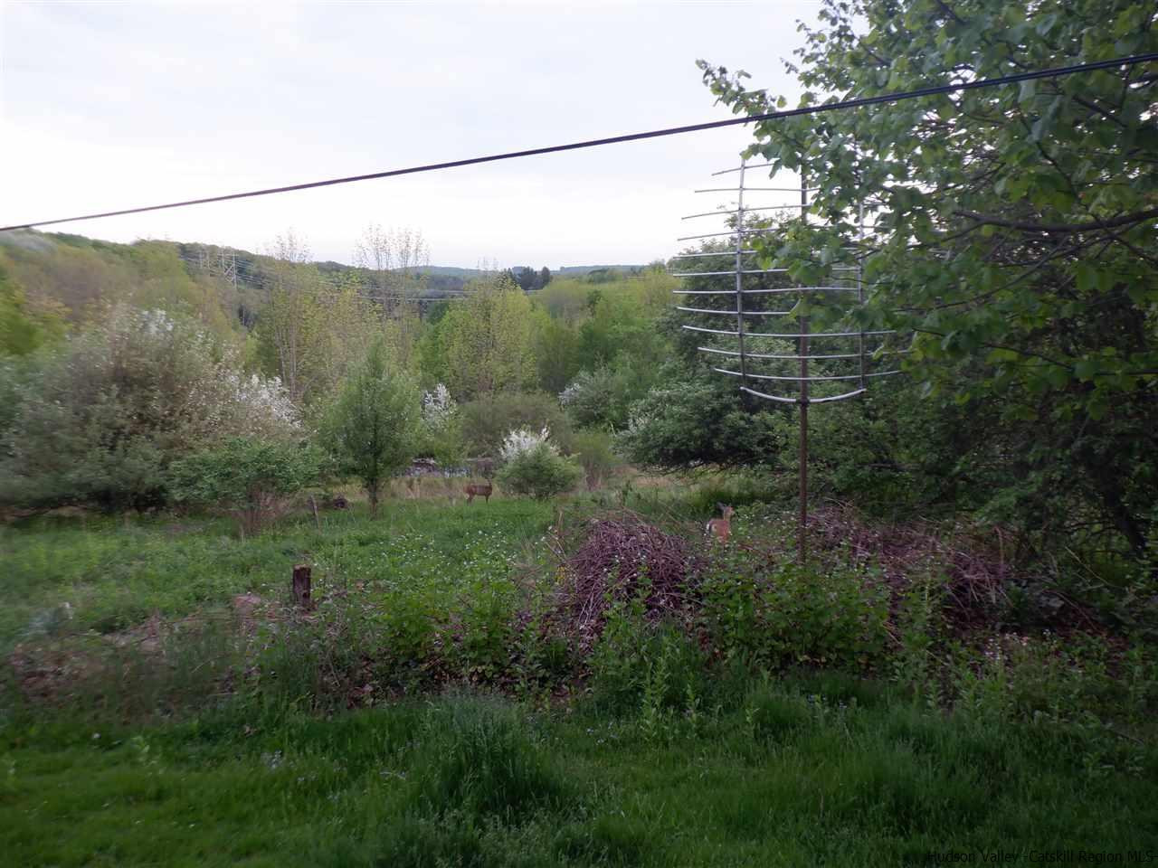 179 Scheibe Road Liberty, NY 12754 - Photo 19 of 25 Photo 19
