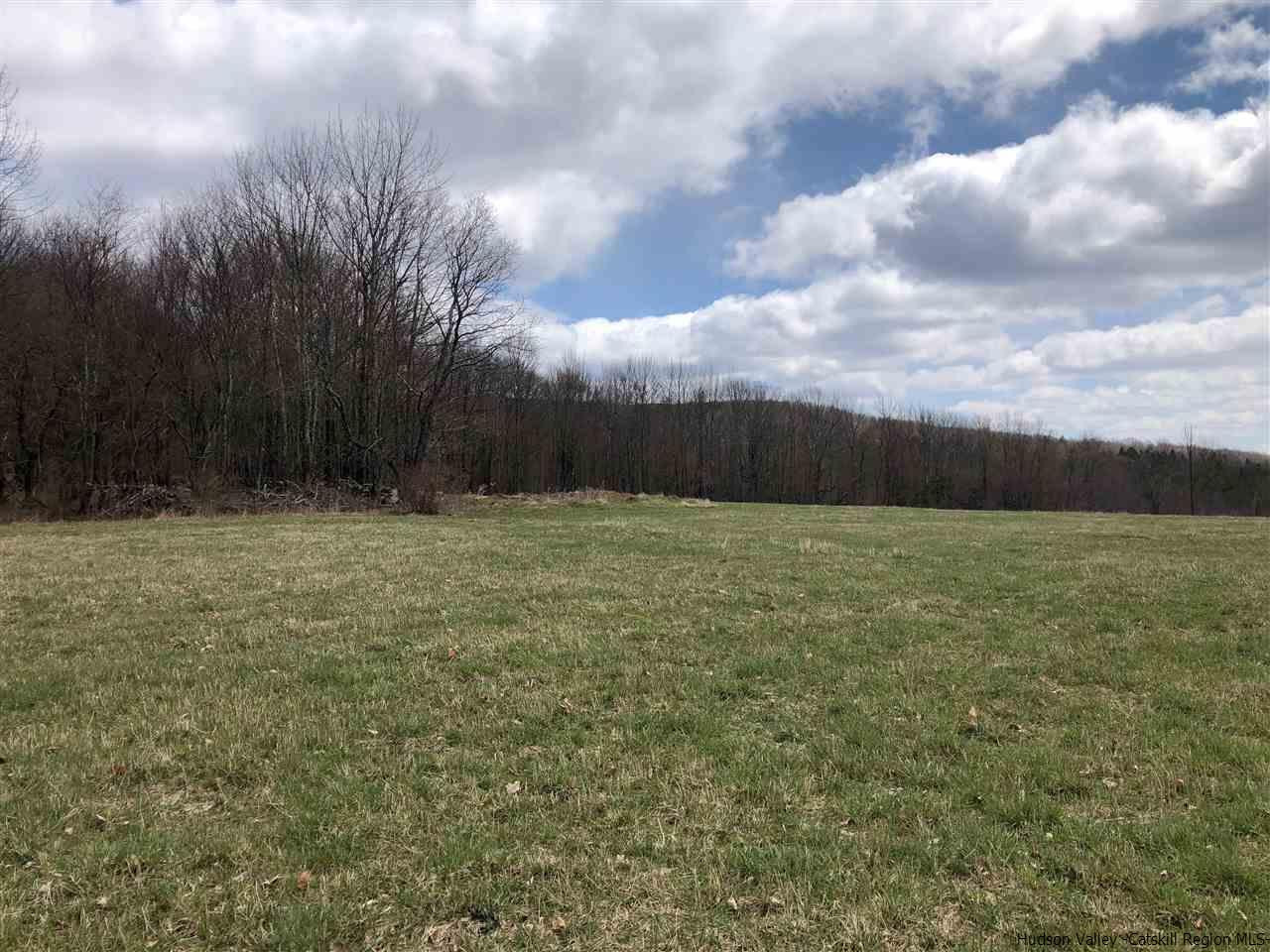 179 Scheibe Road Liberty, NY 12754 - Photo 20 of 25 Photo 20