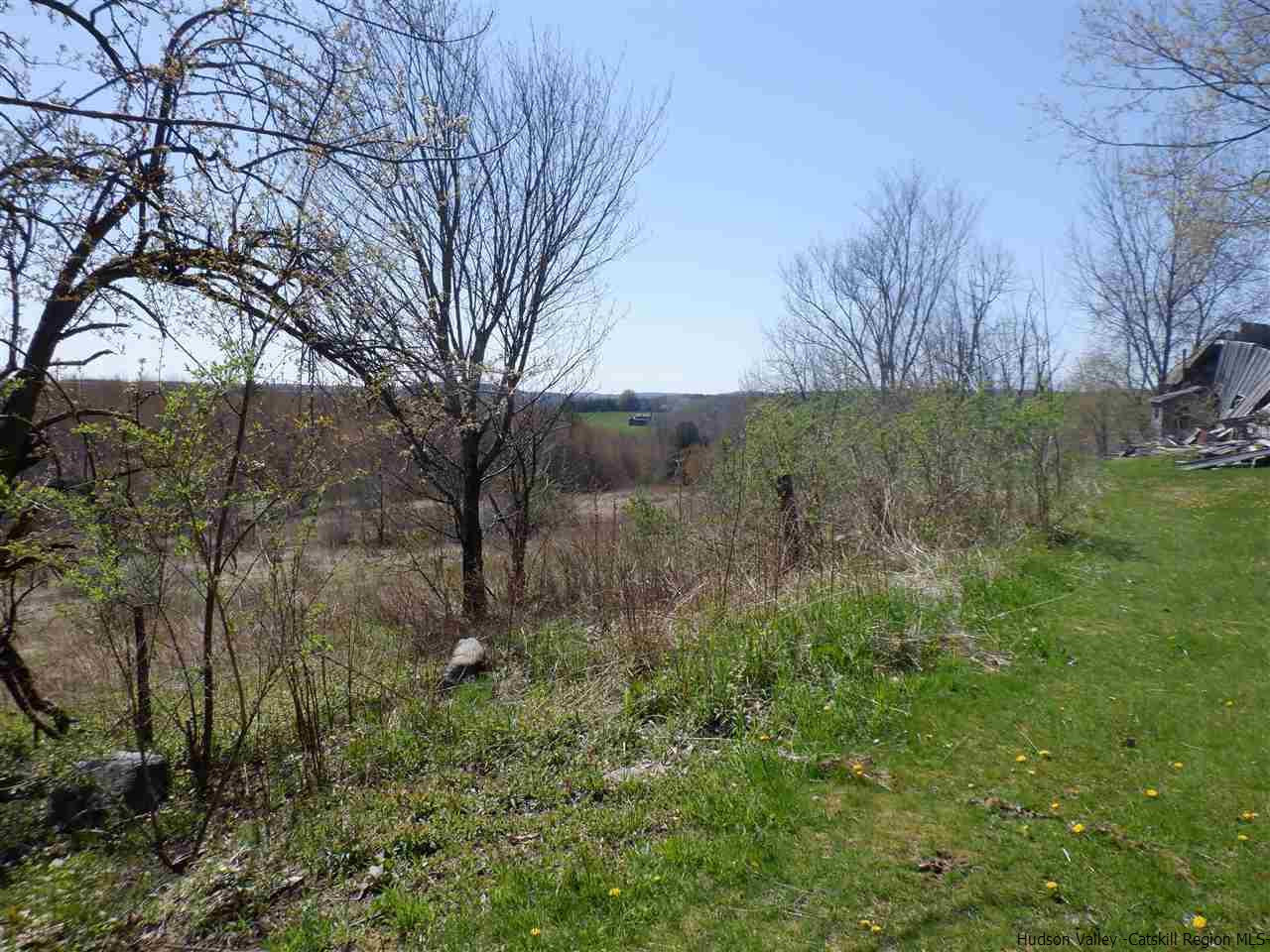 179 Scheibe Road Liberty, NY 12754 - Photo 21 of 25 Photo 21