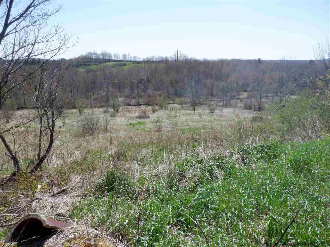 179 Scheibe Road Liberty, NY 12754 - Photo 22 of 25 Photo 22
