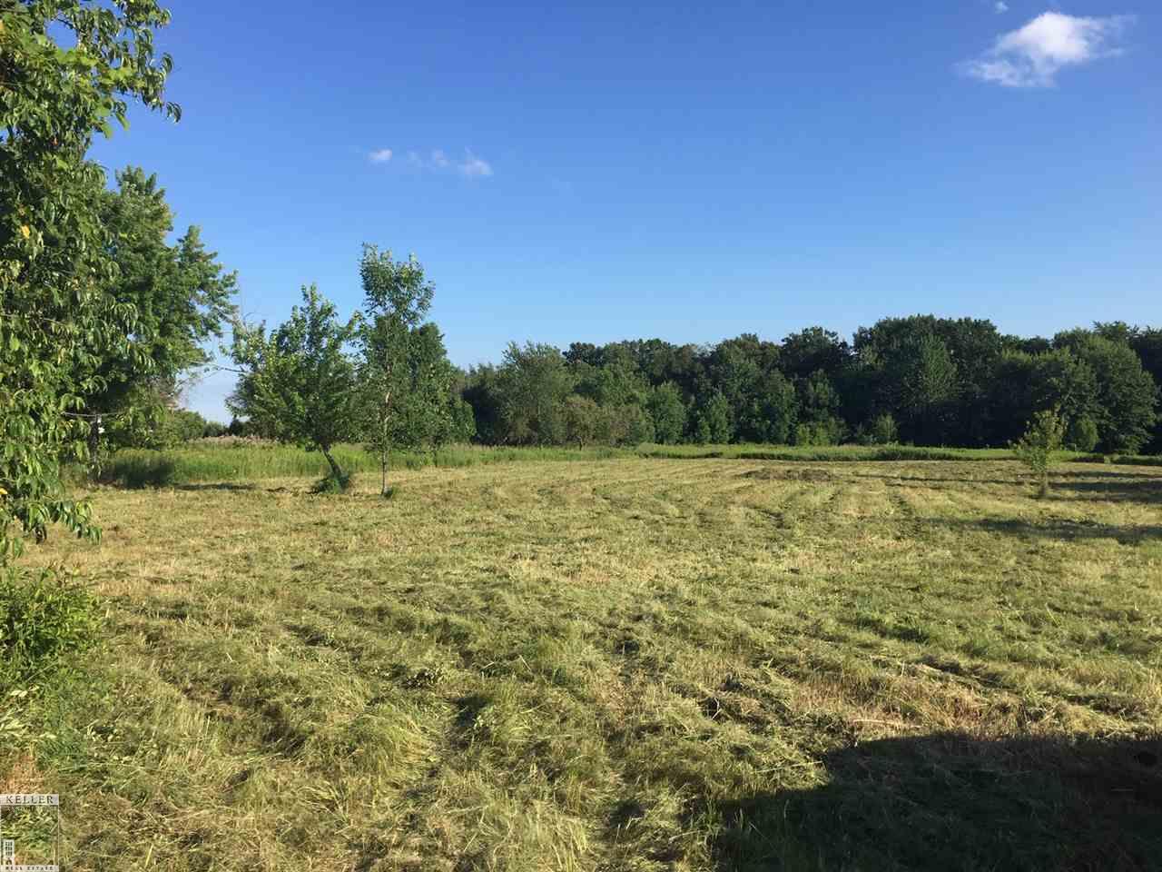 37 Mile Romeo, MI 48065 - Photo 10 of 10