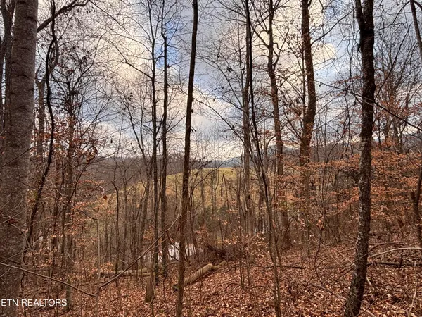 $85,000 | Mcgaha Hollow Road, Dandridge, TN 37725