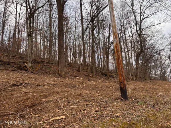 $85,000 | Mcgaha Hollow Road, Dandridge, TN 37725