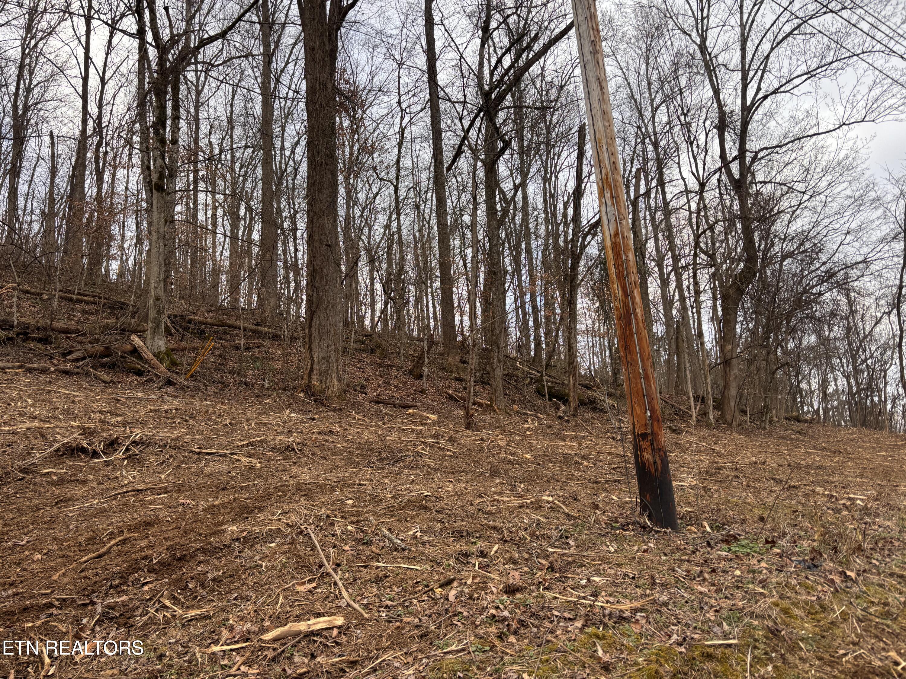 Mcgaha Hollow Road Dandridge, TN 37725 - Photo 11 of 17 IMG_3470