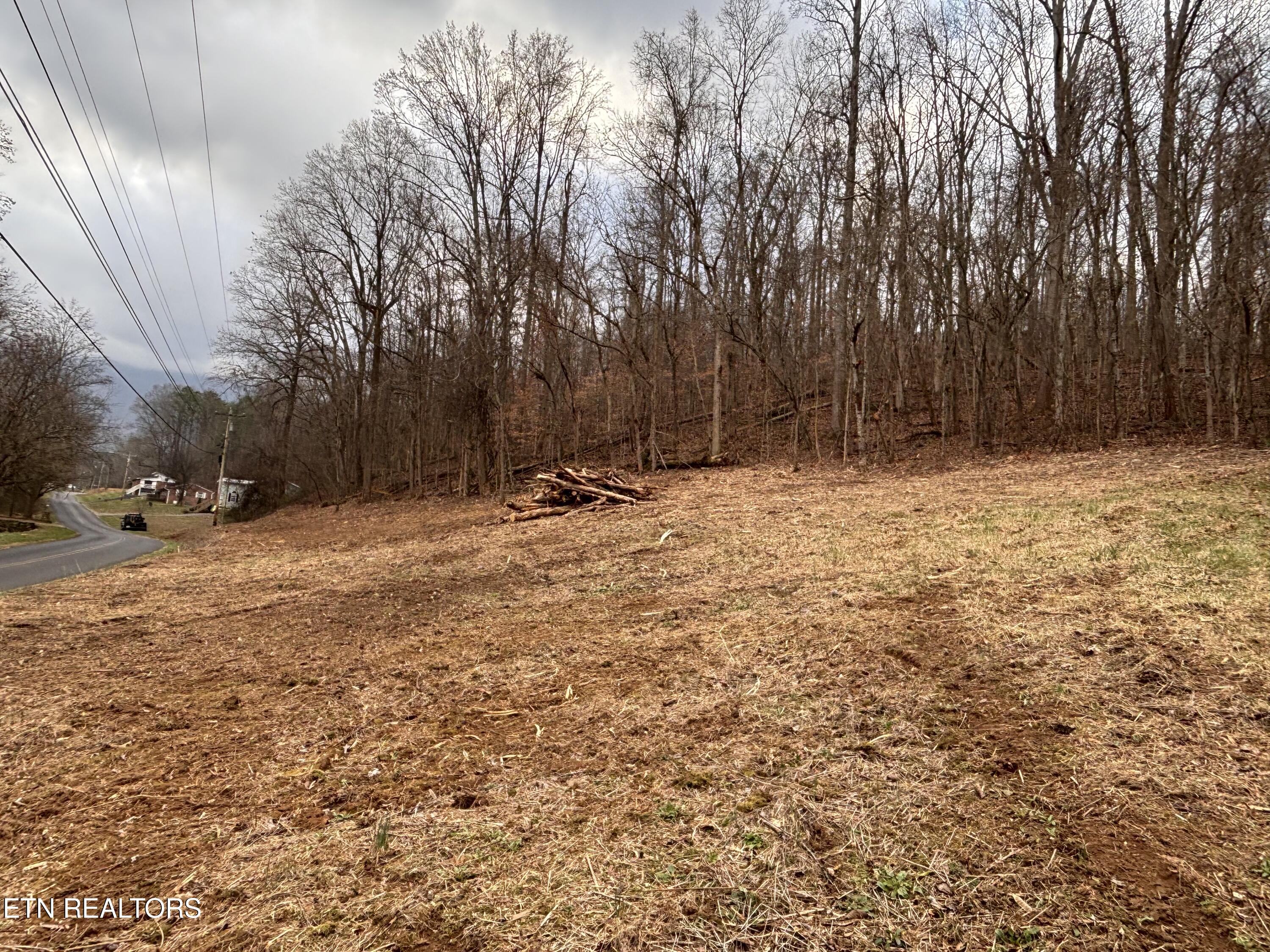 Mcgaha Hollow Road Dandridge, TN 37725 - Photo 16 of 17 IMG_3466