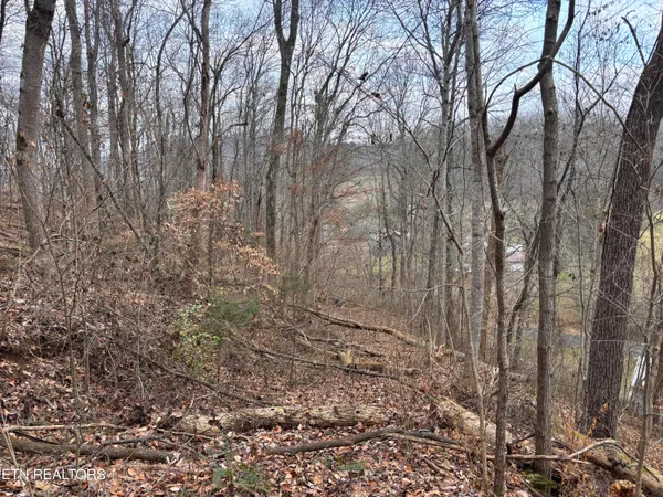 $85,000 | Mcgaha Hollow Road, Dandridge, TN 37725